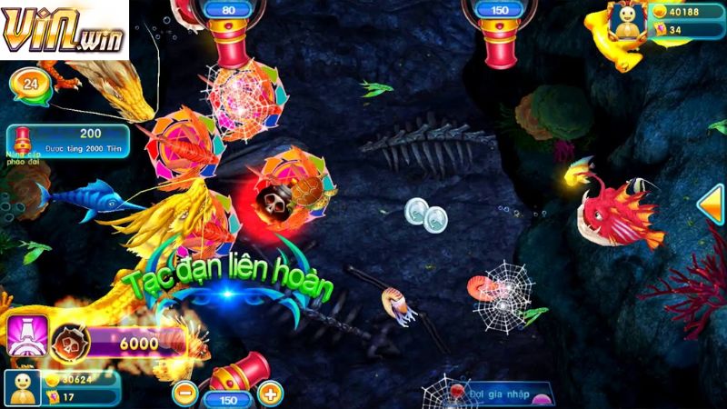 Kinh nghiệm nên tham khảo khi tham gia săn cá rồng