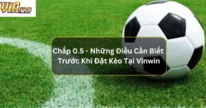 Chấp 0.5 - Những Điều Cần Biết Trước Khi Đặt Kèo Tại Vinwin